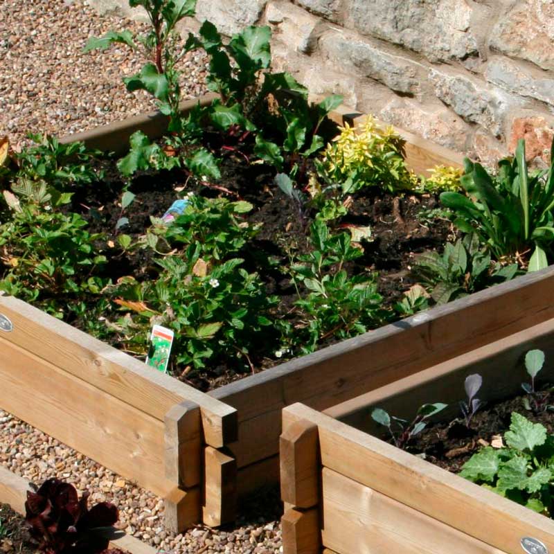 50 Best Tweets Of All Time About Medicinal Garden Kit Review