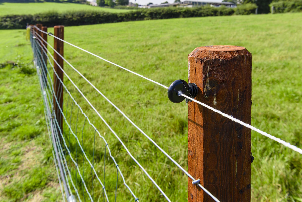 Farmyard Essentials: The Fencing Supplies Needed for Farming