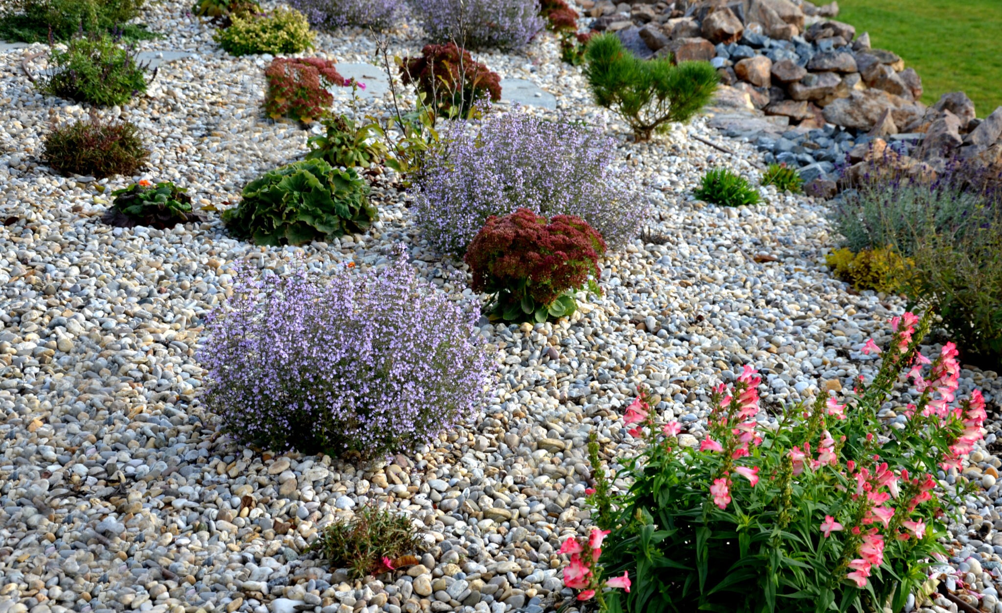 5 Things You Can Do In The Garden With Leftover Gravel Hales Sawmills